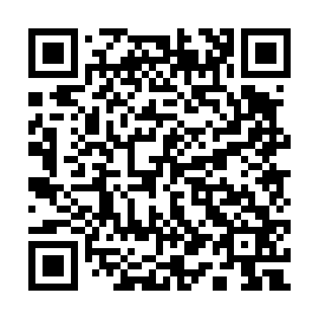 QR code for Q10462