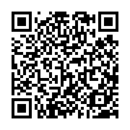 QR code for Q10600