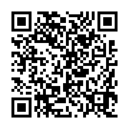 QR code for Q10690