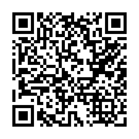 QR code for Q11221