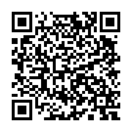 QR code for Q11425