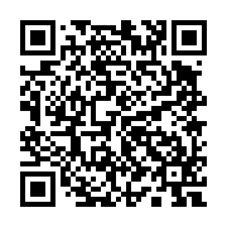 QR code for Q11497