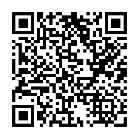 QR code for Q12313