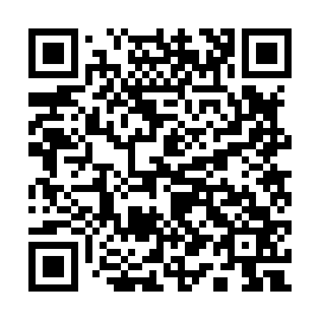 QR code for Q12863