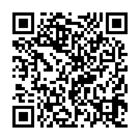 QR code for Q12919