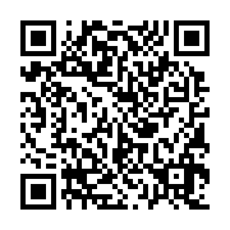 QR code for Q15336