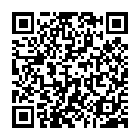 QR code for Q16411