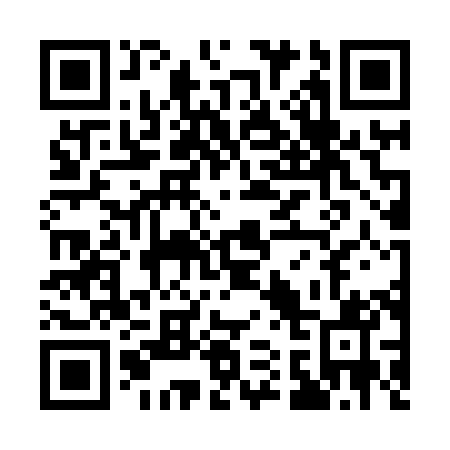 QR code for Q17881