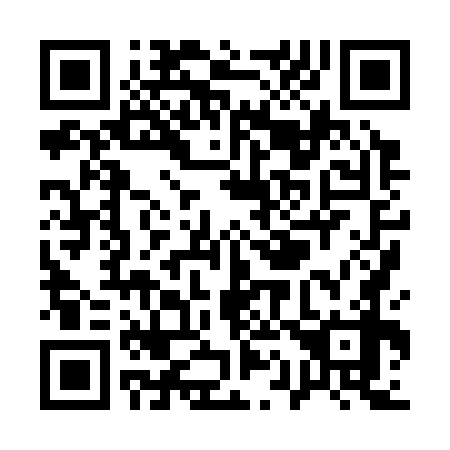 QR code for Q18378