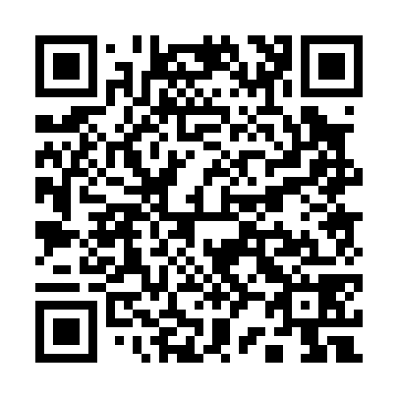 QR code for Q20078