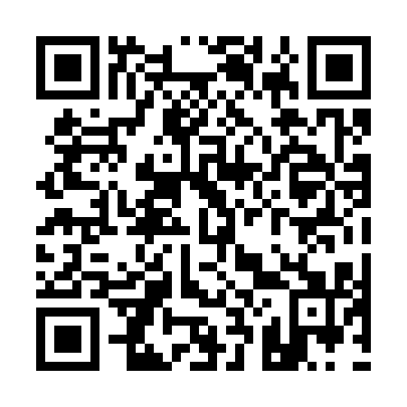 QR code for Q20311
