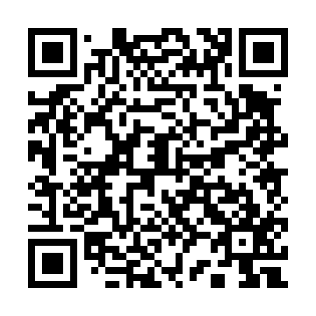 QR code for Q20417