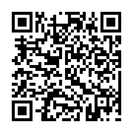 QR code for Q22383