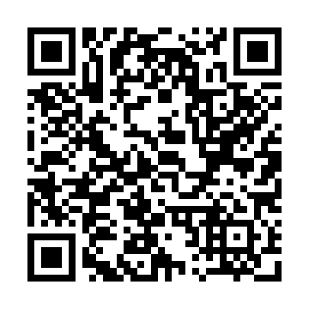 QR code for Q24381