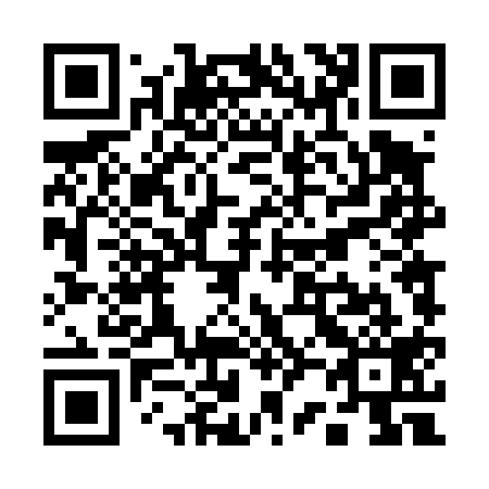 QR code for Q24419