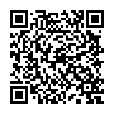 QR code for Q29017