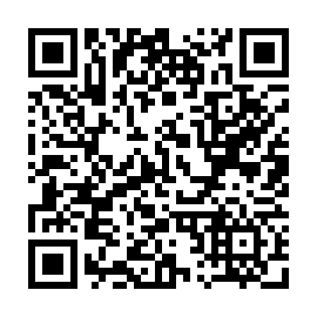QR code for Q29166