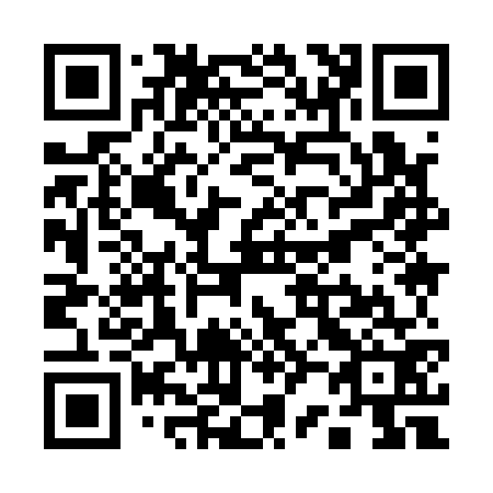 QR code for Q29172