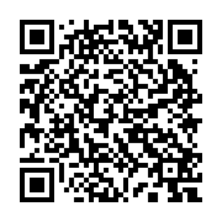 QR code for Q29202