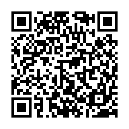 QR code for Q29217