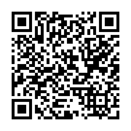 QR code for Q29928