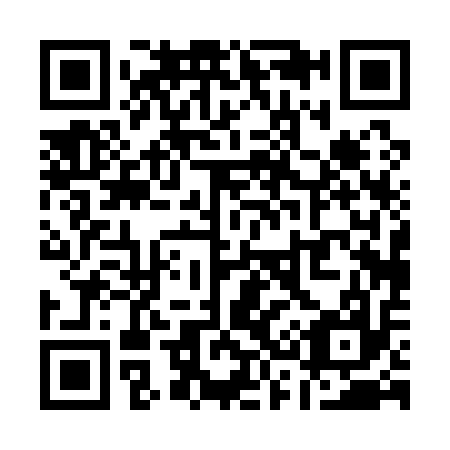 QR code for Q30117