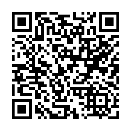 QR code for Q30993