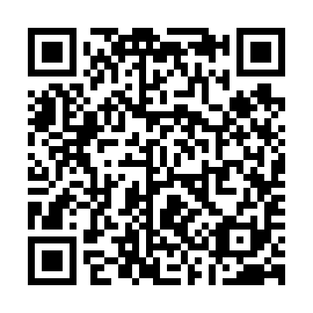 QR code for Q33691