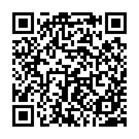 QR code for Q33787