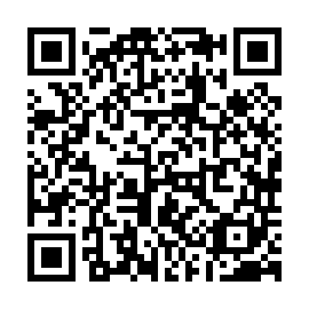 QR code for Q38041