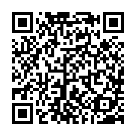 QR code for Q38889