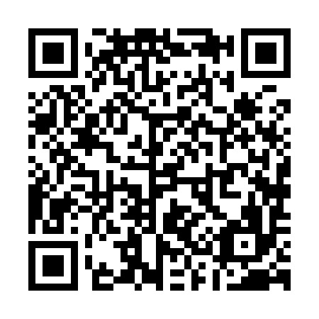 QR code for Q38996