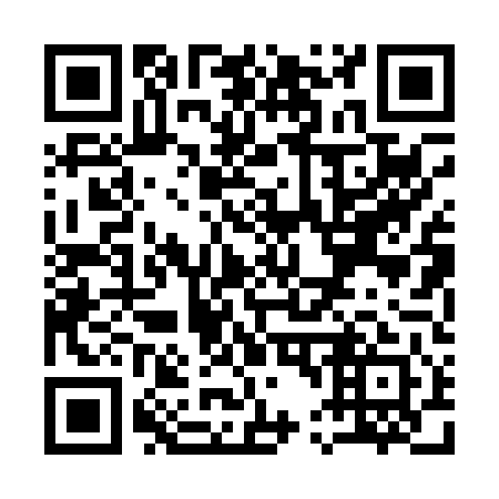 QR code for Q40041