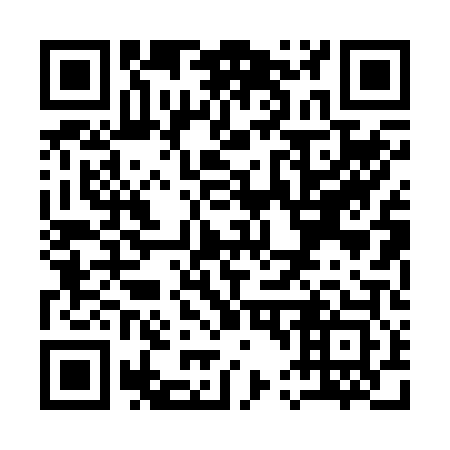 QR code for Q40203