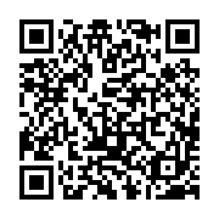 QR code for Q40293
