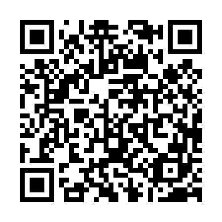 QR code for Q40462
