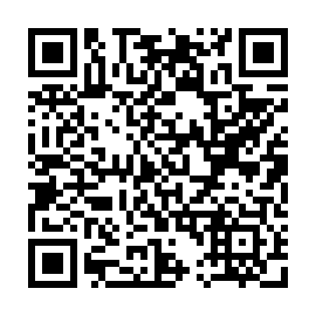 QR code for Q40603