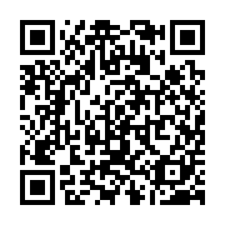 QR code for Q41301
