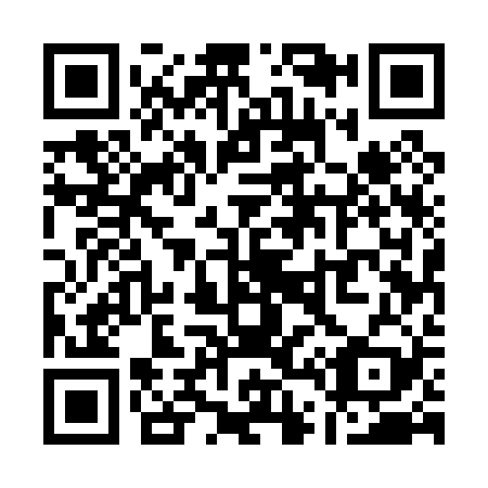QR code for Q45029