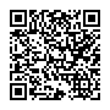 QR code for Q46385