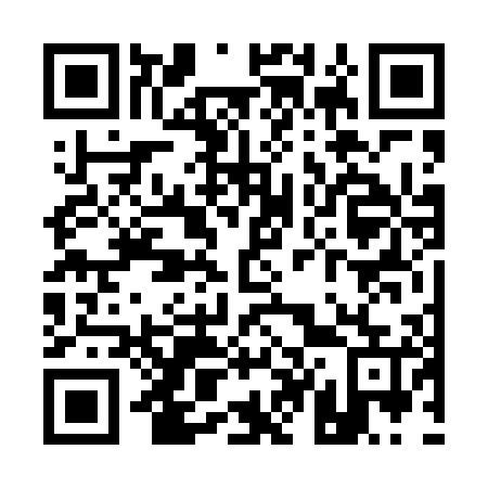 QR code for Q46405