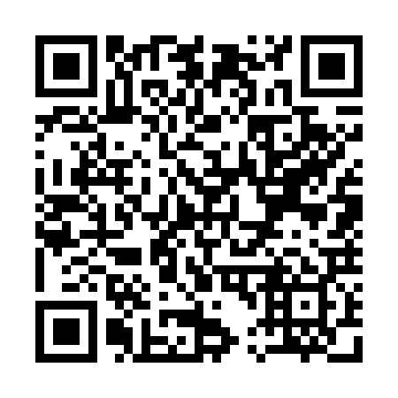 QR code for Q47729