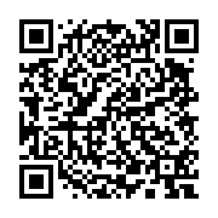 QR code for Q50410