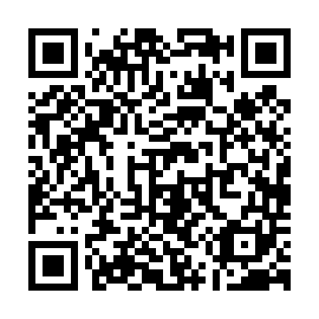 QR code for Q50441