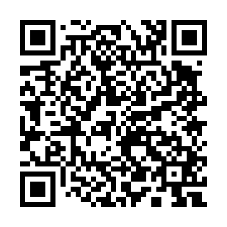 QR code for Q51441