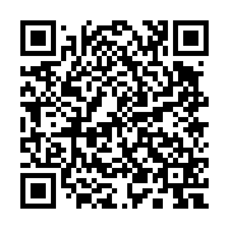QR code for Q51461