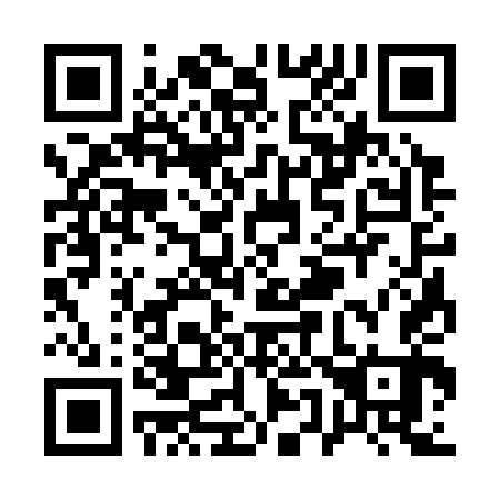 QR code for Q53343