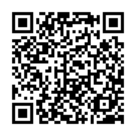 QR code for Q54341
