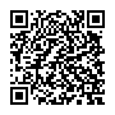 QR code for Q54463