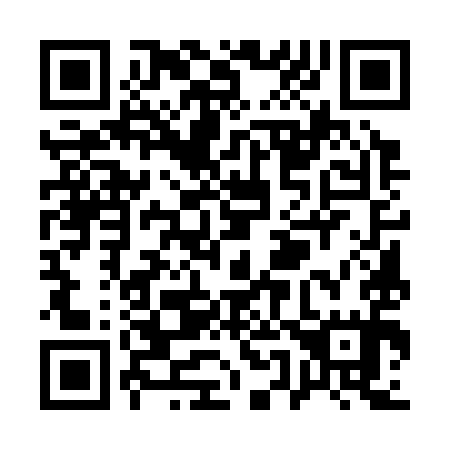 QR code for Q55395